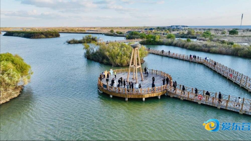 竞争力将会 竞争力将会